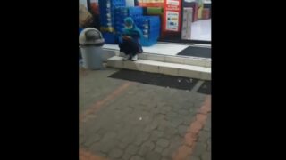 Ketemu Cewek Sedang Diam Di Minimarket Malah Diajak Check In